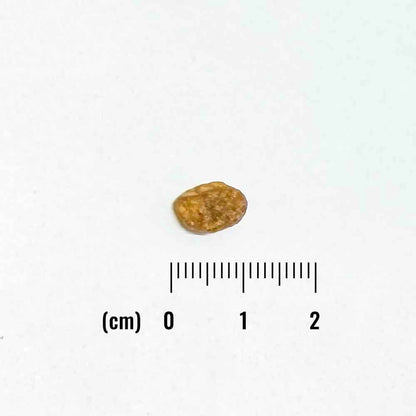 ナチュラルバランス LID RESERVE 成猫用 ダック&グリーンピースレシピ 1.8kg