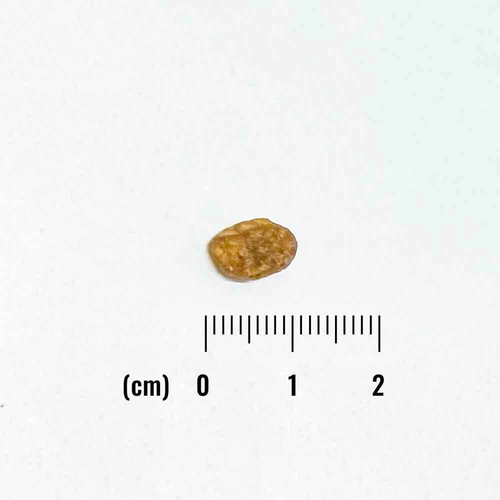 ナチュラルバランス LID RESERVE 成猫用 ダック&グリーンピースレシピ 150g（30g×5袋）