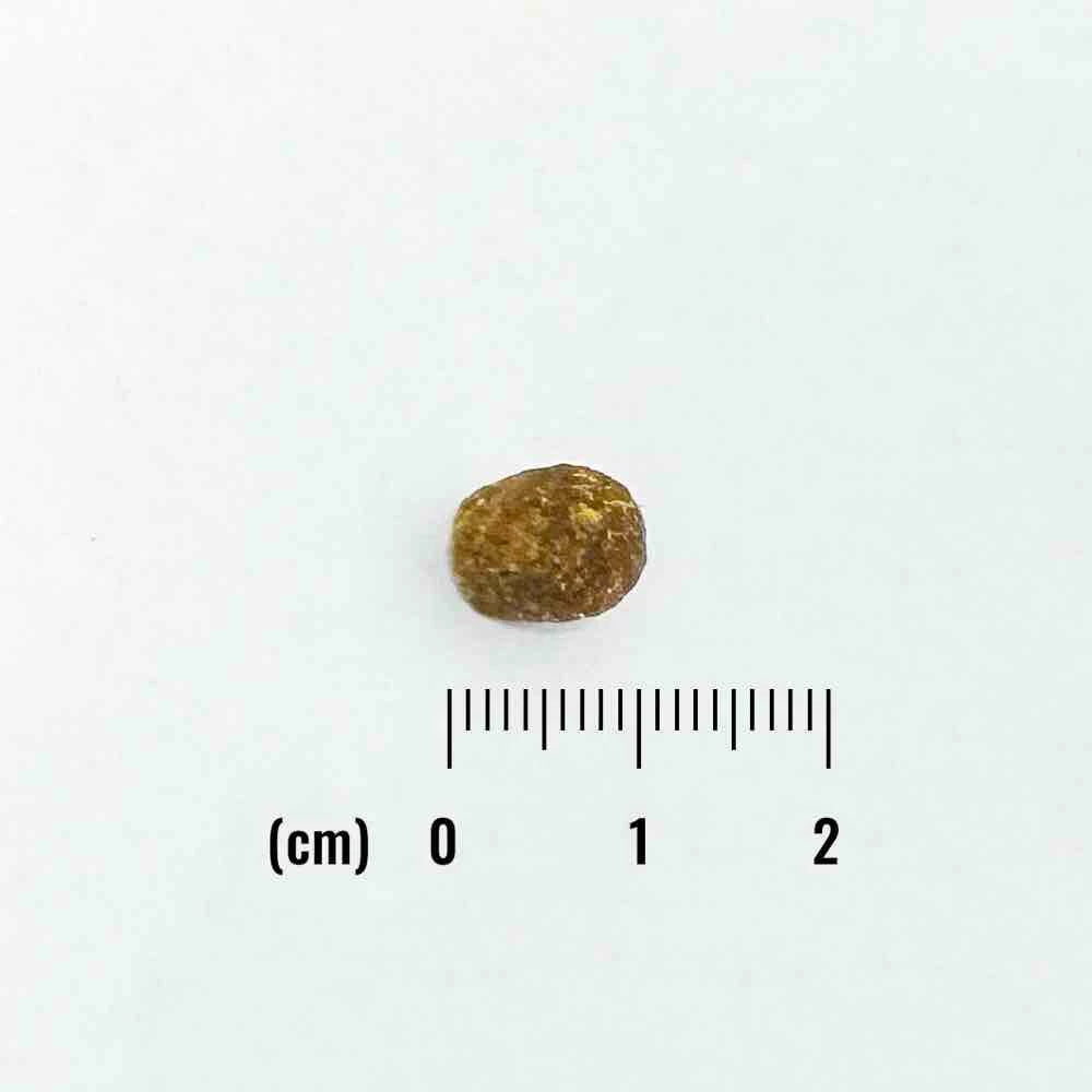 ナチュラルバランス ORIGINAL ULTRA 成猫用 鶏肉&サーモンレシピ［室内猫用］インドア 150g（30g×5袋）