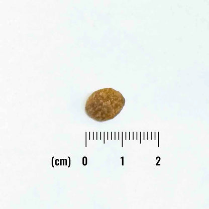 ナチュラルバランス ORIGINAL ULTRA 猫用 チキン&サーモンレシピ［全年齢用］150g（30g×5袋）