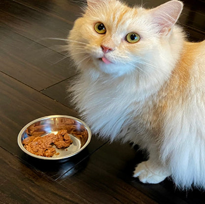 ビオリオーブ キャット チキン・ディッシュ 80g