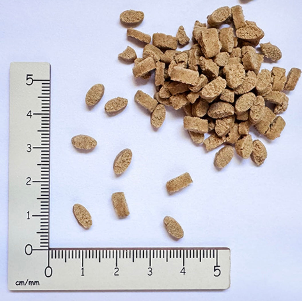 yum yum yum！ハイシニア 13+ チキン ドライタイプ 1.3kg