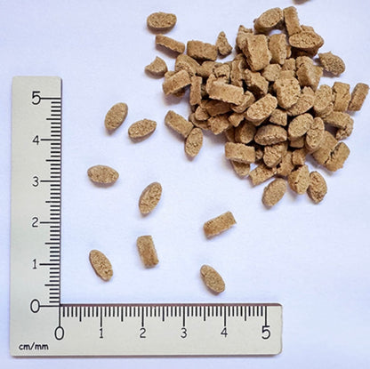 yum yum yum！ハイシニア 13+ チキン ドライタイプ 1.3kg