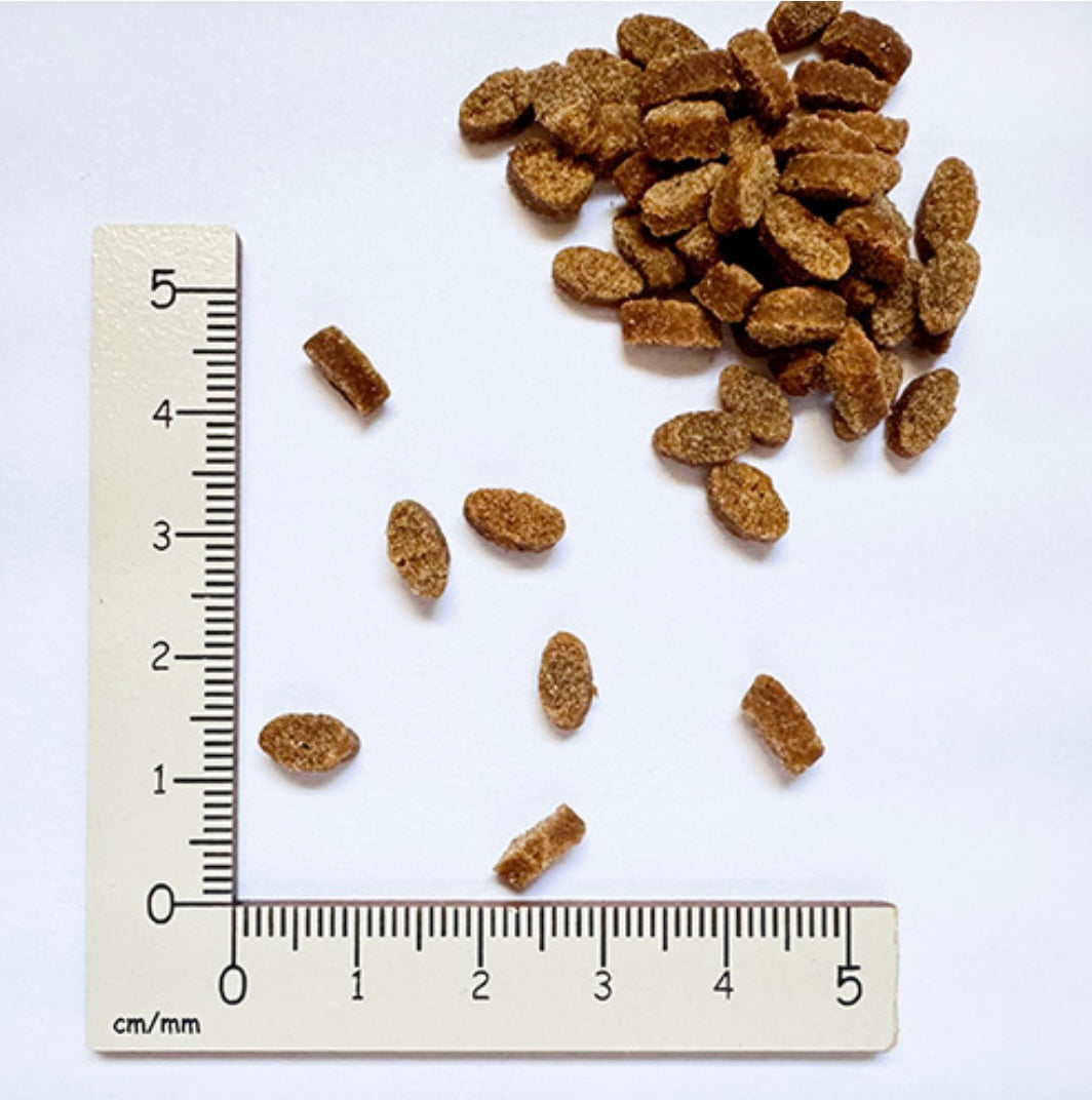 yum yum yum！ハイシニア 13+ チキン やわらかドライタイプ 80g×5袋