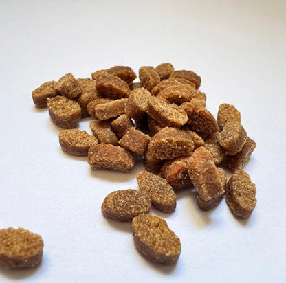 yum yum yum！ハイシニア 13+ チキン やわらかドライタイプ 80g×5袋