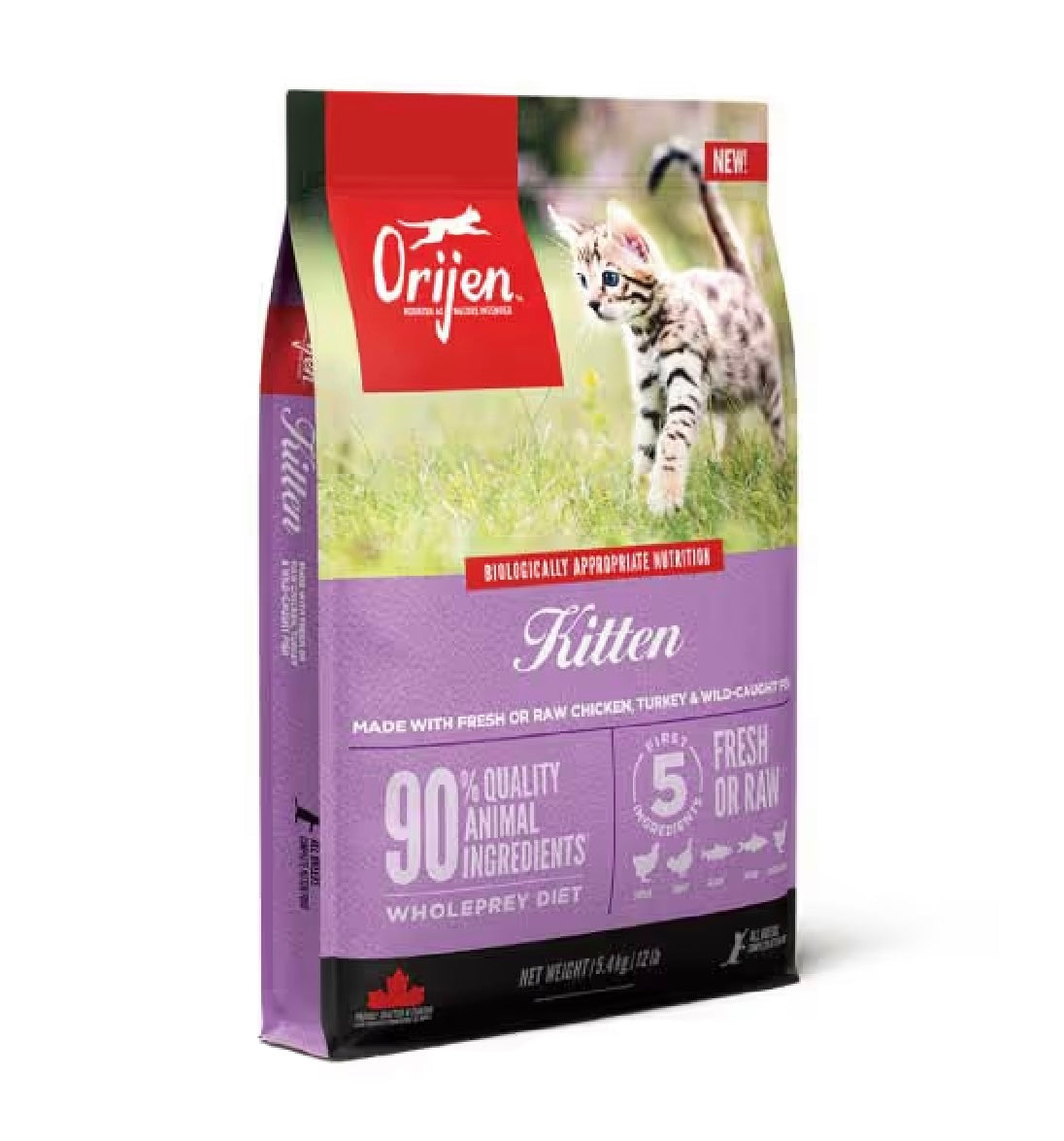 オリジン キトゥン 5.4kg