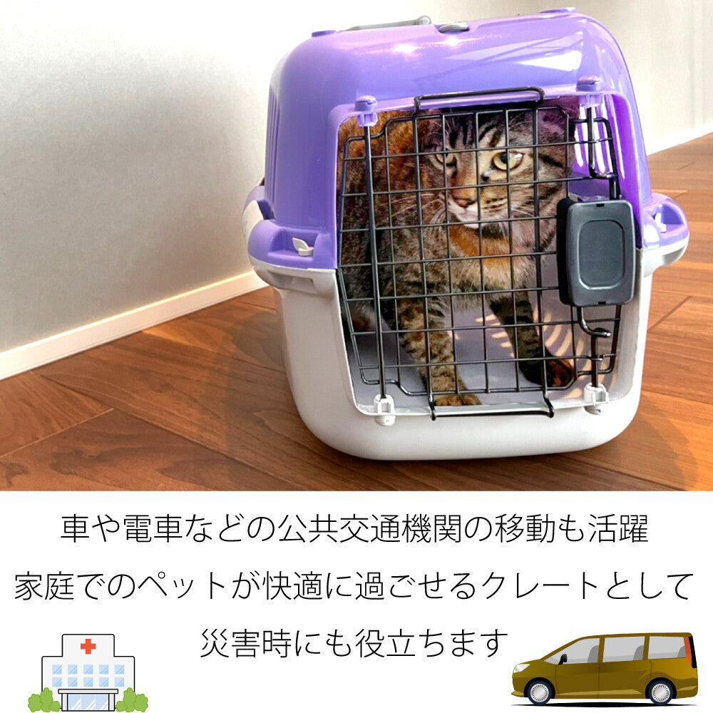 ファンタジーキャリー S OPEN パープル 小型犬 猫 ペット用 キャリーケース ハードタイプ 耐荷重7kgまで