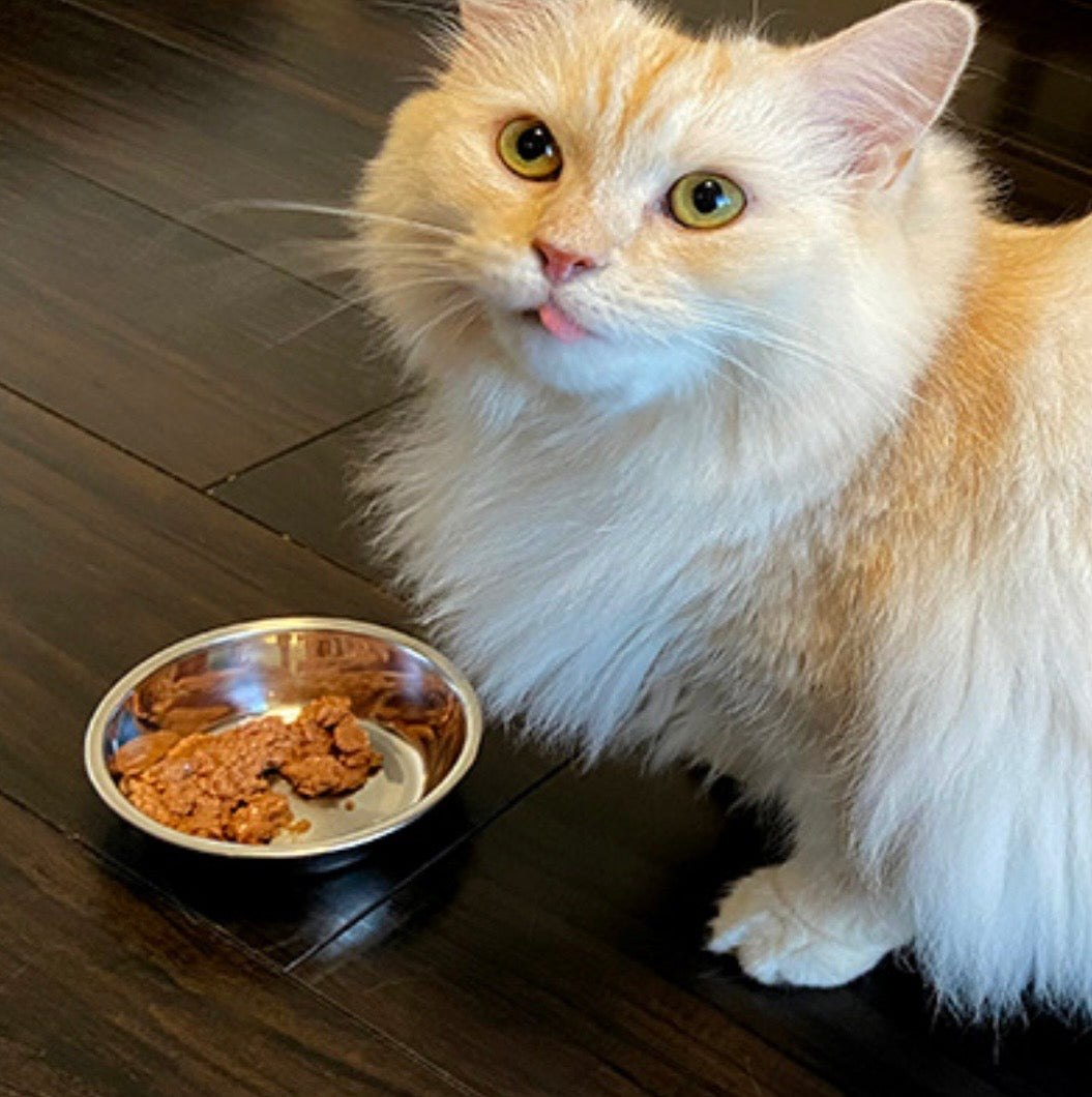 ビオリオーブ キャット チキン・ディッシュ 80g