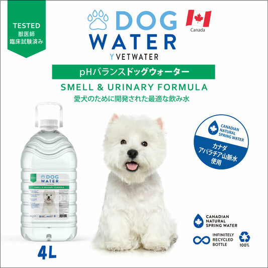 【ワケありアウトレット】 犬用天然水　ドッグ ウォーター 4L DOG WATER 水分補給