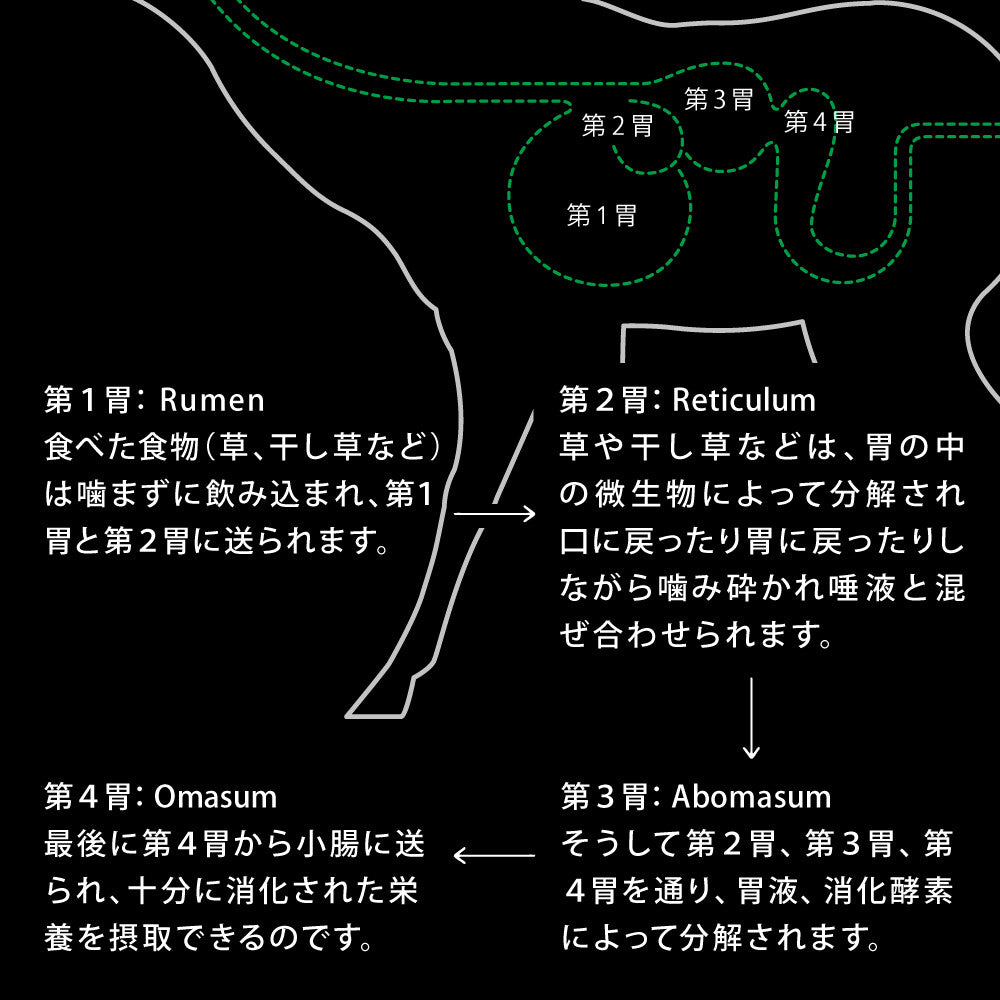 ニュートライプ キャットフード(ドライ) クランチ　オーブンベークド　チキン＆ビーフwithグリーントライプ 1.6kg