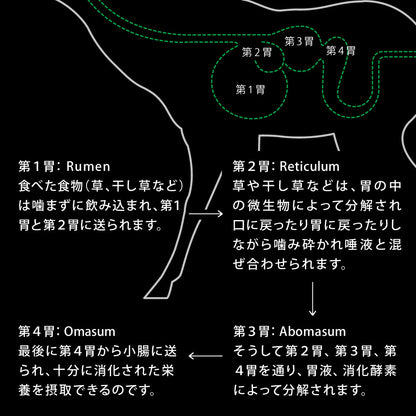 ニュートライプ キャットフード(ドライ) クランチ　オーブンベークド　チキン＆ビーフwithグリーントライプ 1.6kg
