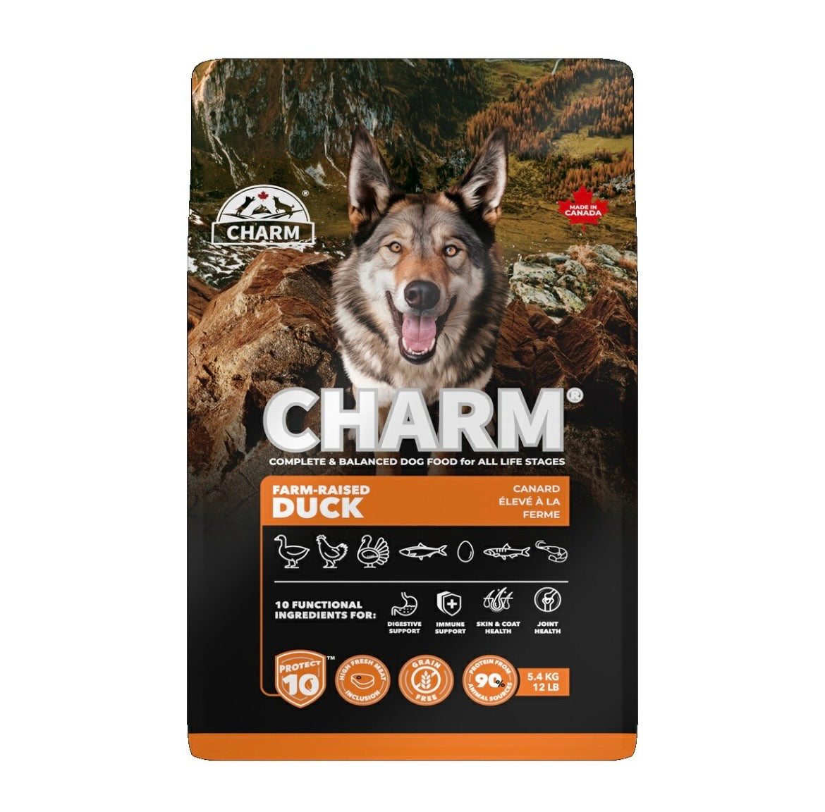CHARM チャーム ファームレイズドダックドッグフード