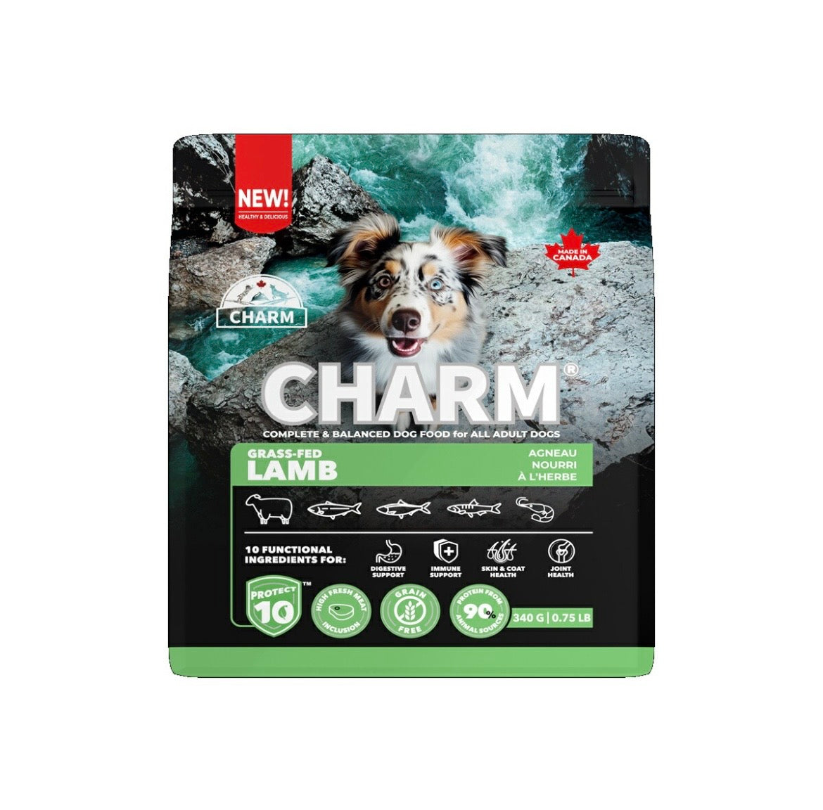 CHARM チャーム グラスフェッドラム ドッグフード