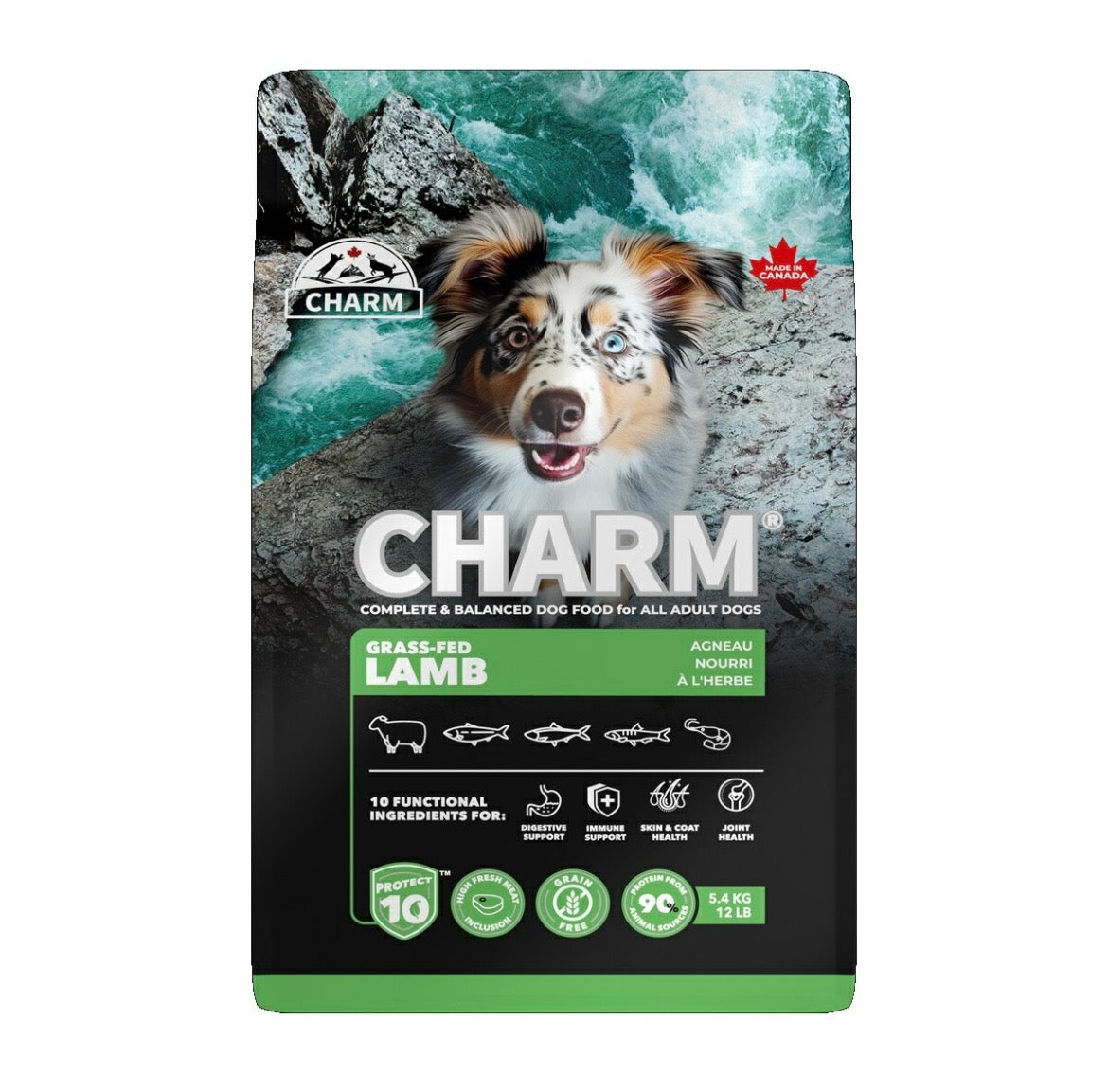 CHARM チャーム グラスフェッドラム ドッグフード