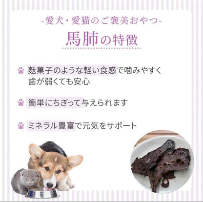 HOPE ホープ 馬肺 20g